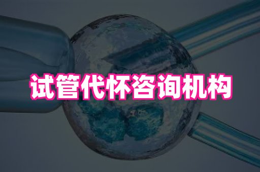 哈尔滨助孕网 3