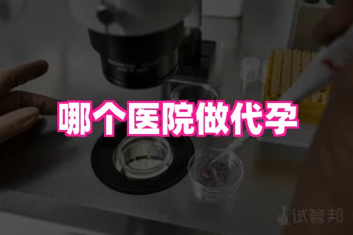 哈尔滨助孕网 4